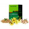 Topinambur Forte 40tbl Plantavorel