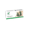 Rozmarin 30cps Medica