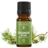 Ulei esential de Cedru Atlas 10 ml MAYAM